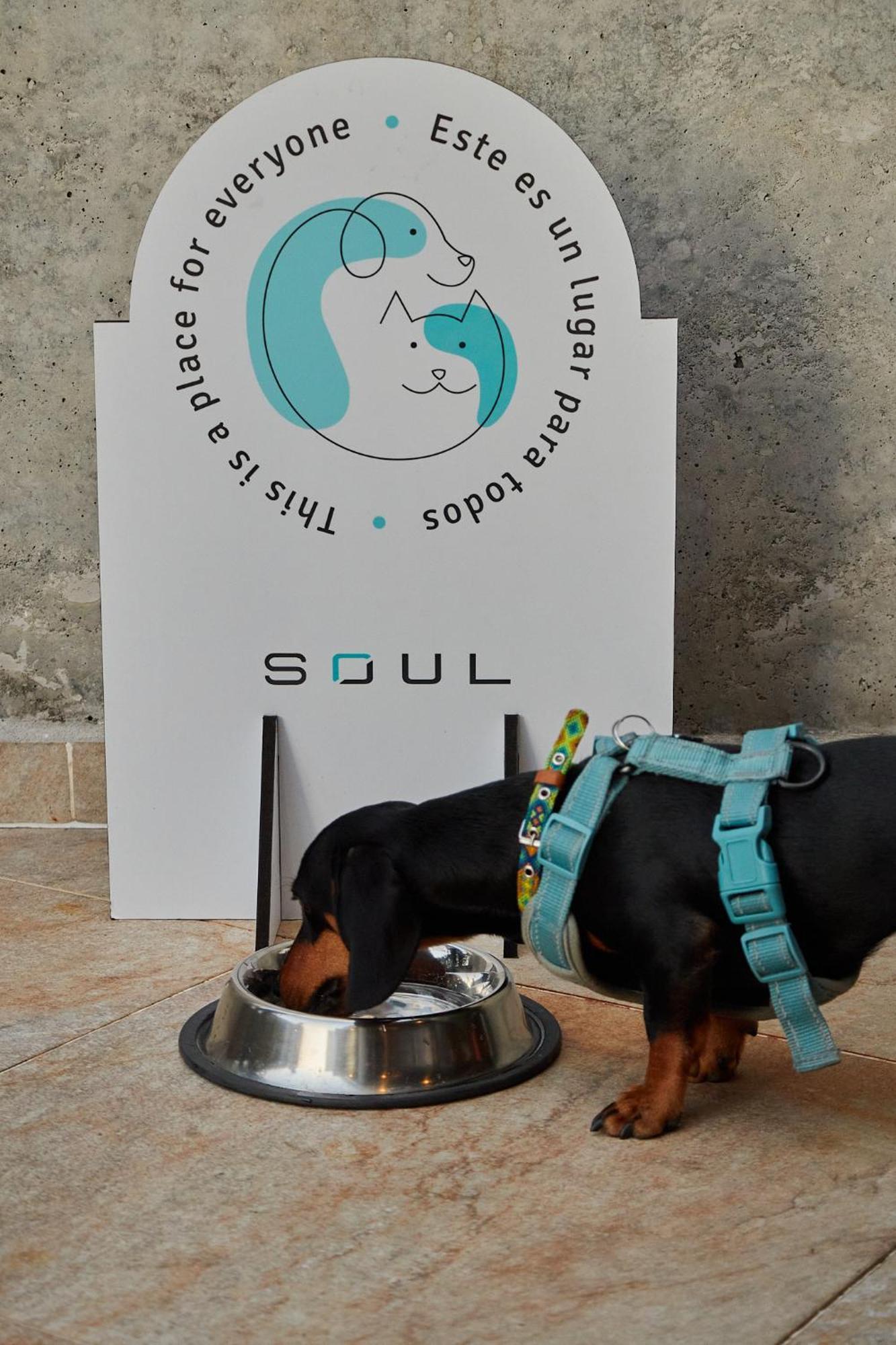 Soul Hotel Medellín
